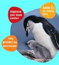 Penguin advertising Cocoon